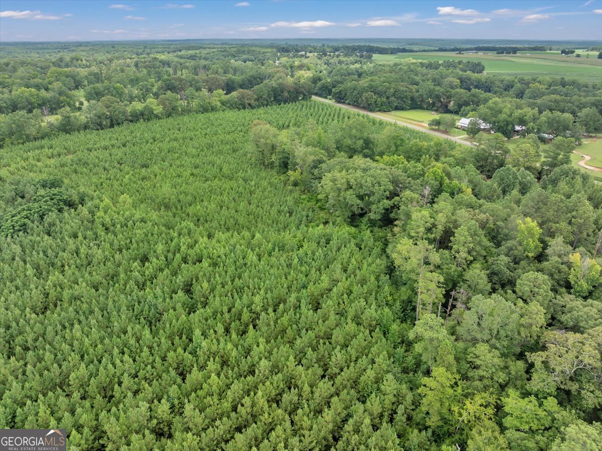 Turkey Point Turkey Creek Road Danville GA 31017