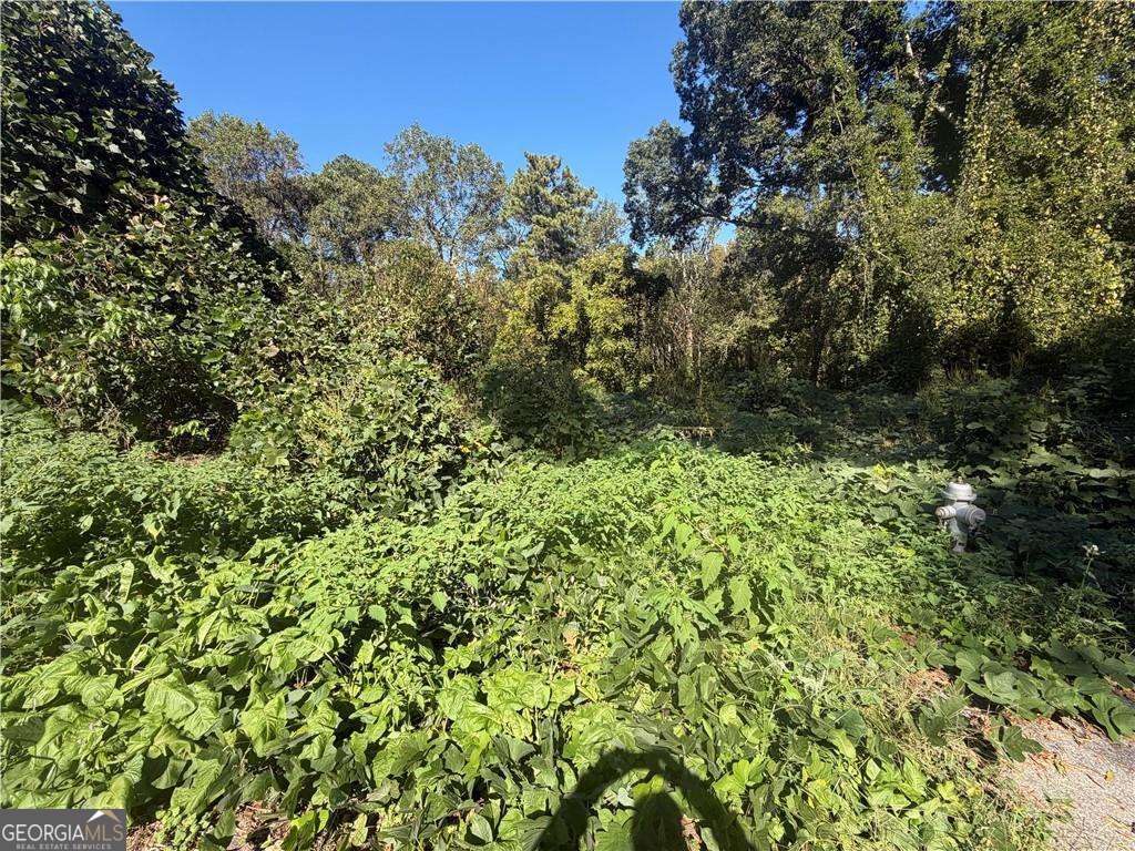 3194 Robinson Avenue Scottdale GA 30079