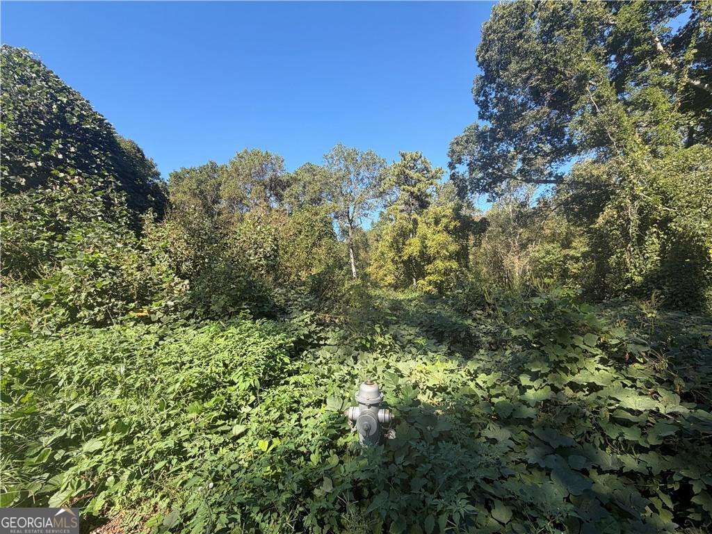 3194 Robinson Avenue Scottdale GA 30079