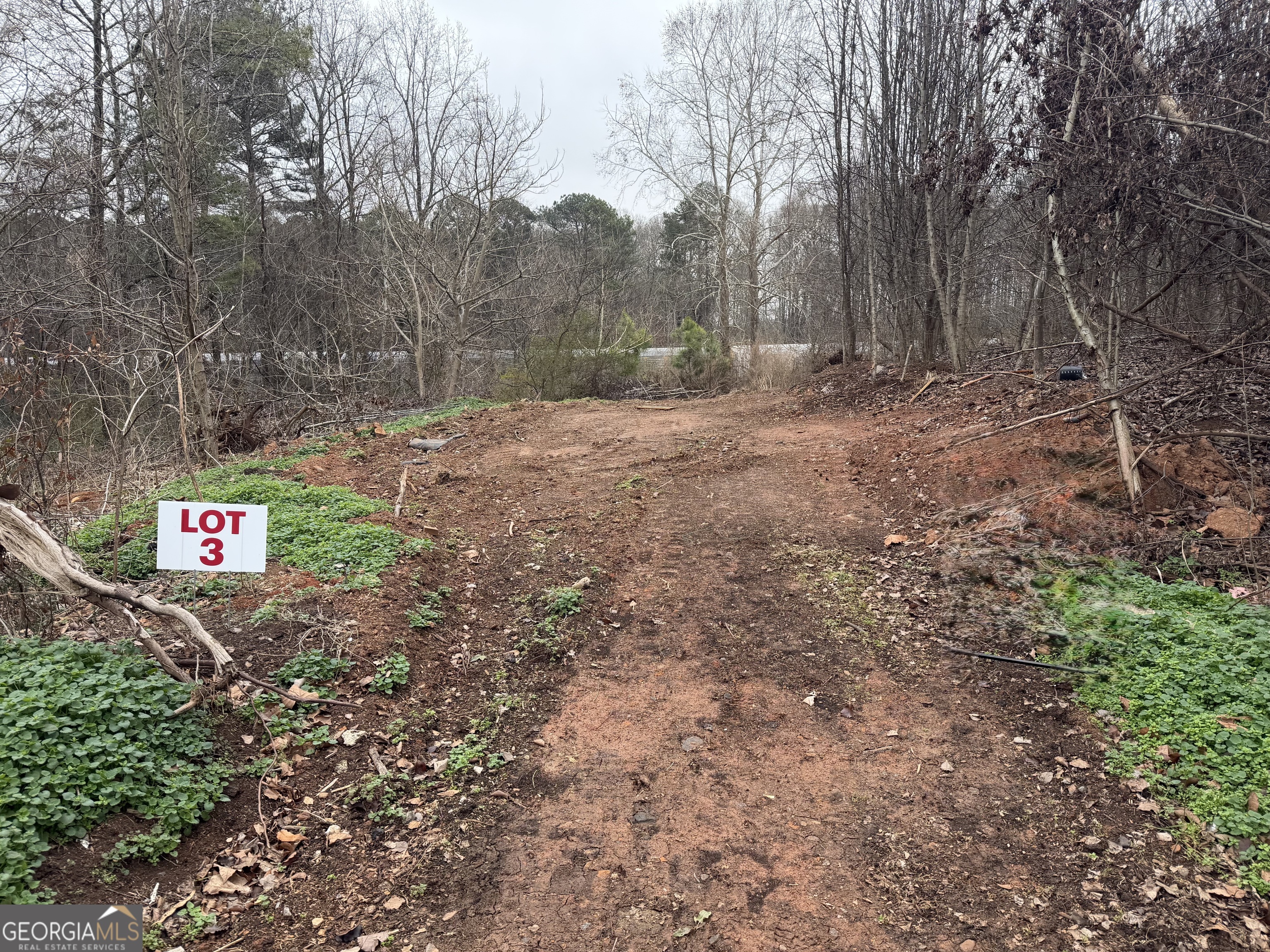 1982 Fence Road Dacula GA 30019