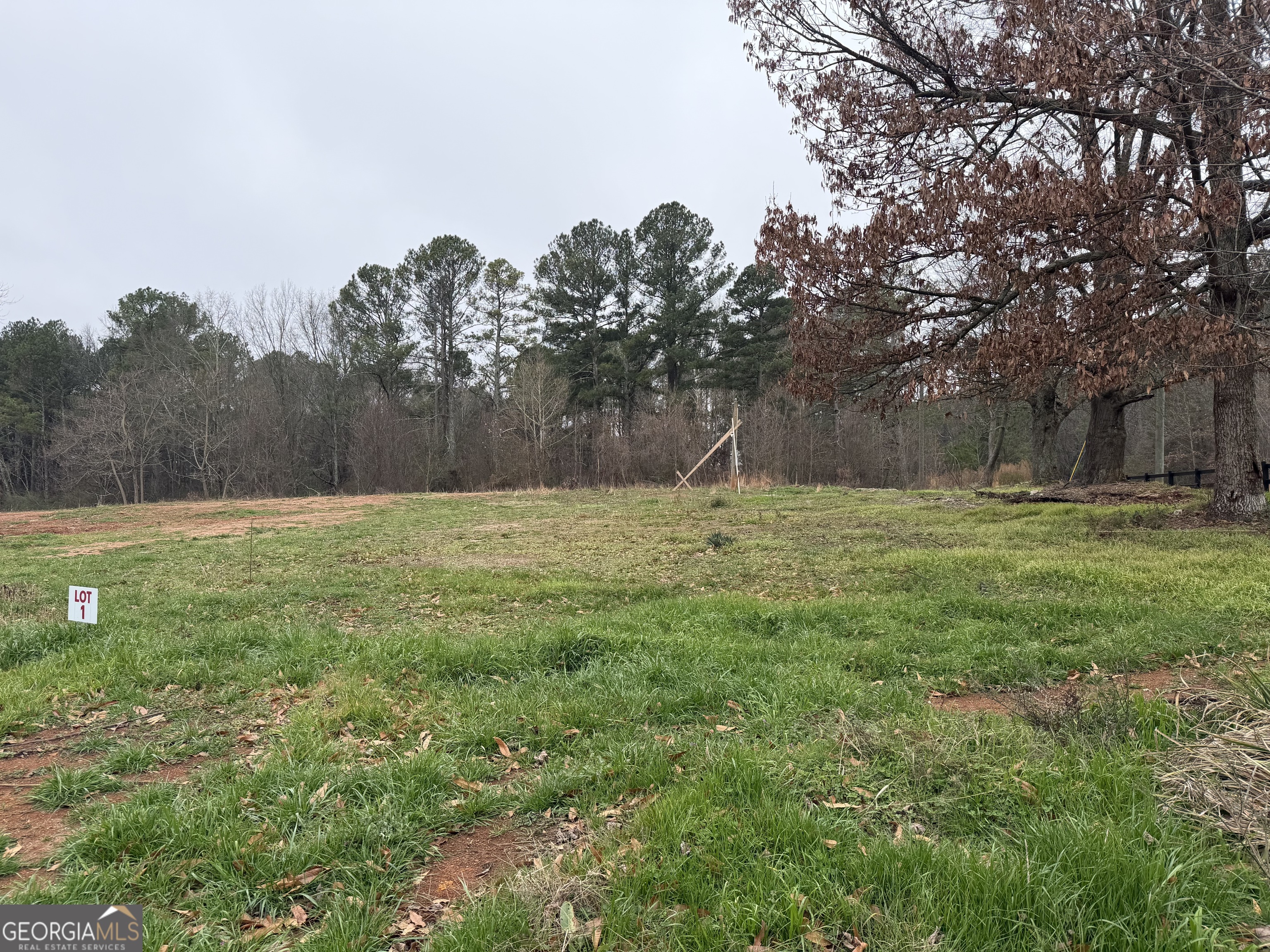 1982 Fence Road Dacula GA 30019