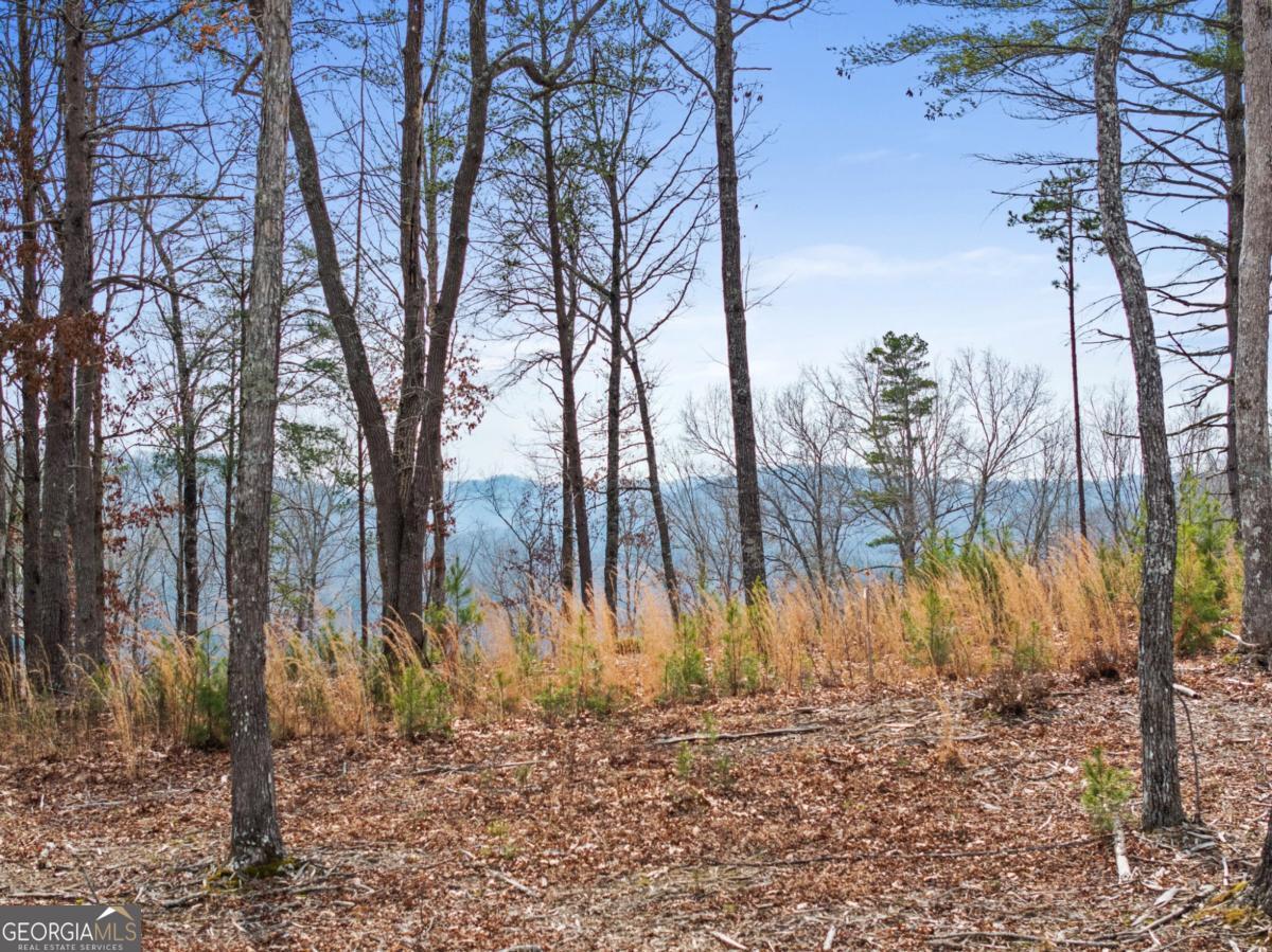 Lot 162 Ridge Drive Morganton GA 30560