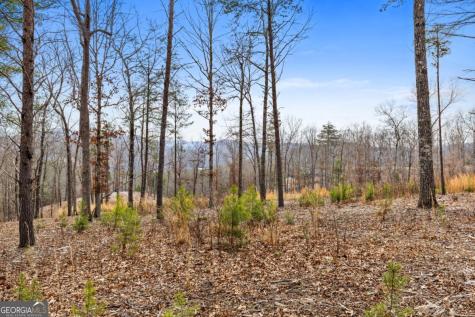 Lot 162 Ridge Drive Morganton GA 30560