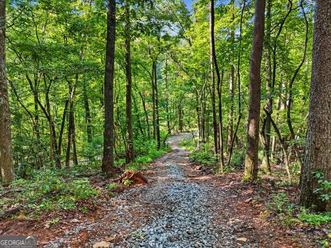 417 Kelly Mountain Road Clarkesville GA 30523