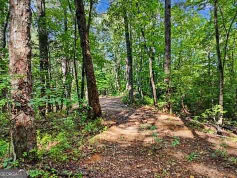 417 Kelly Mountain Road Clarkesville GA 30523