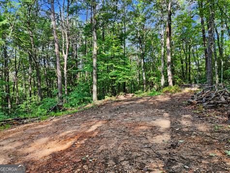 417 Kelly Mountain Road Clarkesville GA 30523