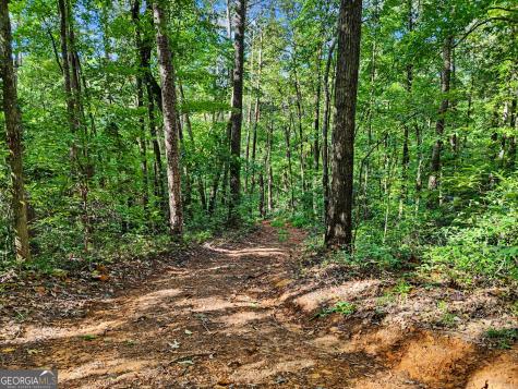 417 Kelly Mountain Road Clarkesville GA 30523
