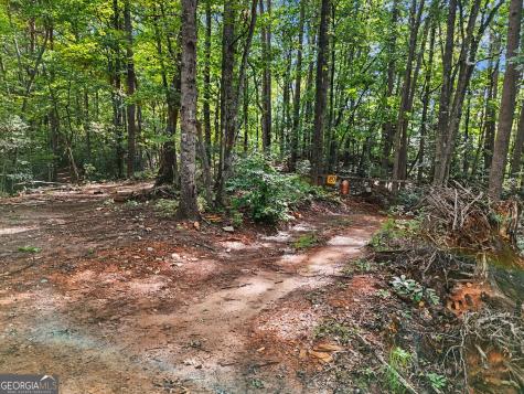 417 Kelly Mountain Road Clarkesville GA 30523