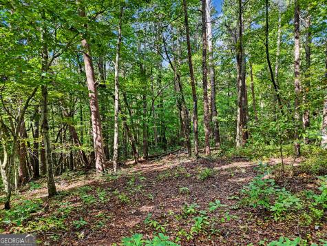 417 Kelly Mountain Road Clarkesville GA 30523