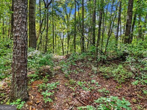 417 Kelly Mountain Road Clarkesville GA 30523