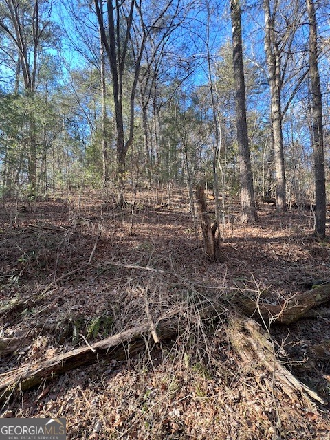 0 Old Miller Rock Ellijay GA 30540