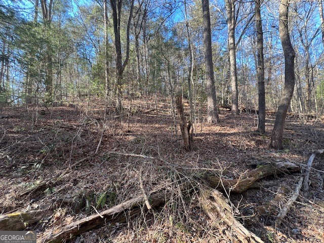 0 Old Miller Rock Ellijay GA 30540