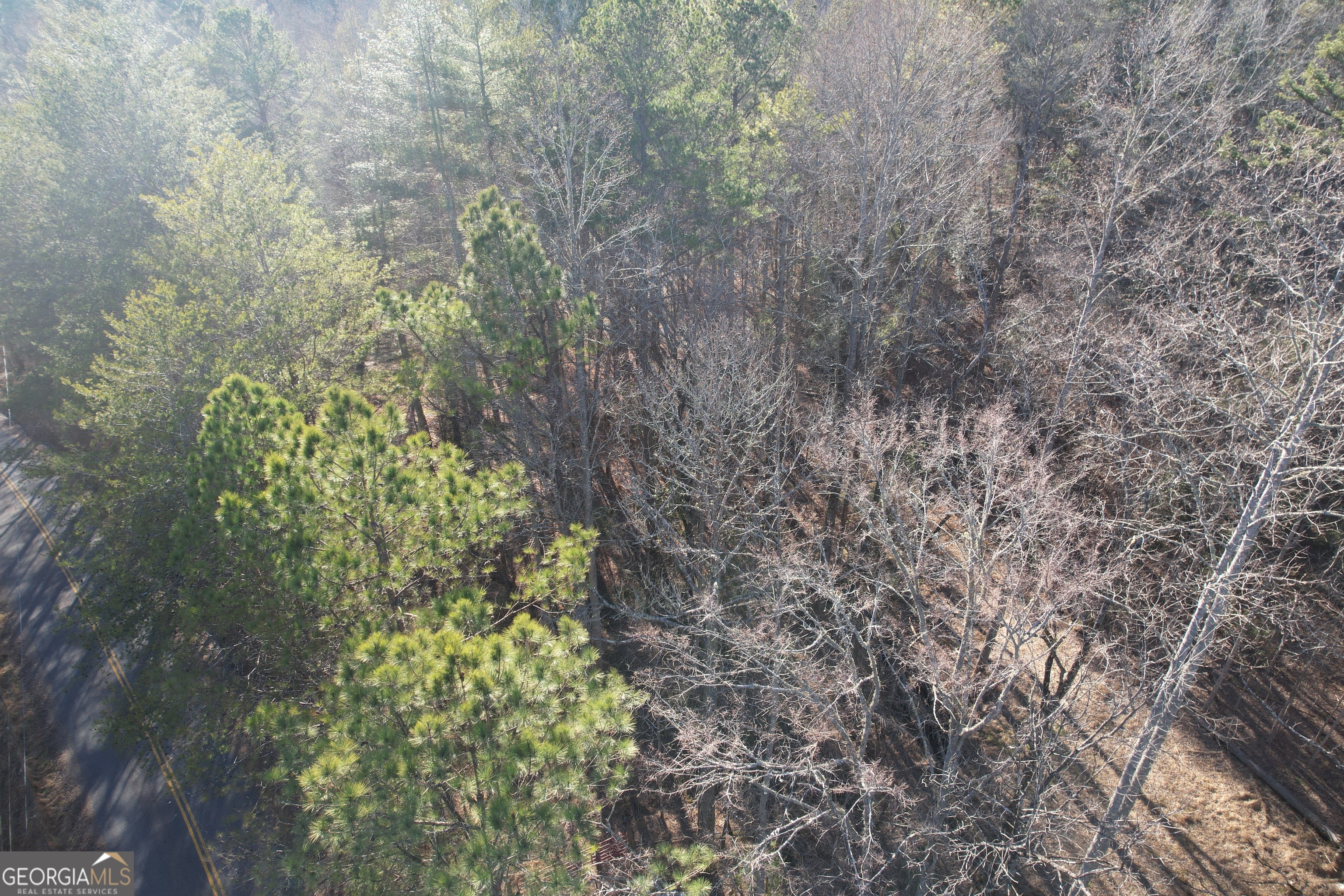 0 Old Miller Rock Ellijay GA 30540