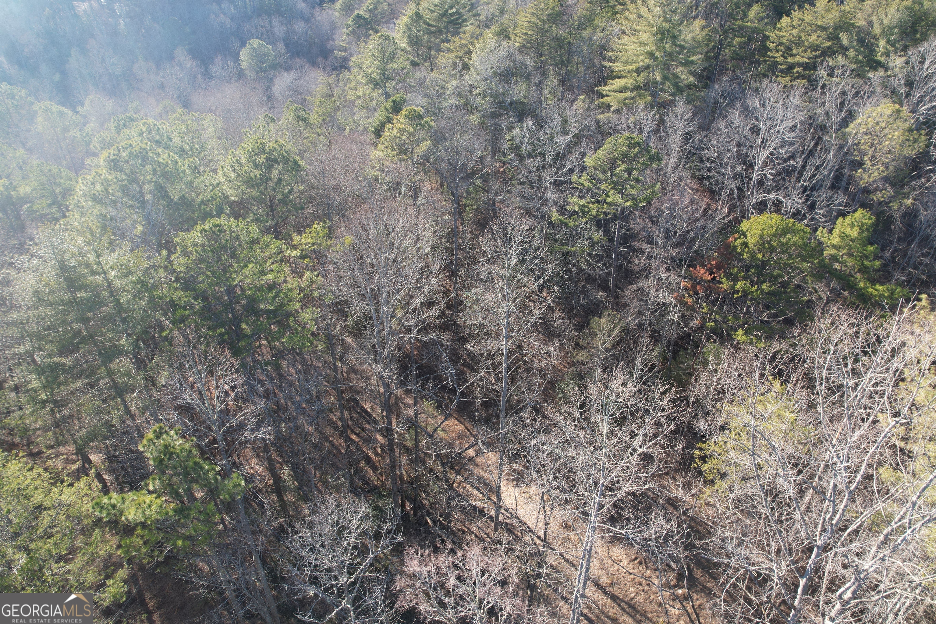 0 Old Miller Rock Ellijay GA 30540