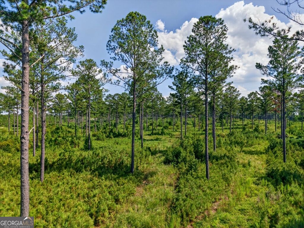 0 Highway 30 Buena Vista GA 31803