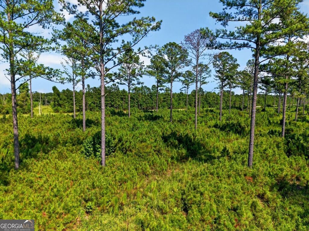 0 Highway 30 Buena Vista GA 31803