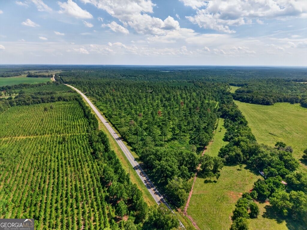 0 Highway 30 Buena Vista GA 31803