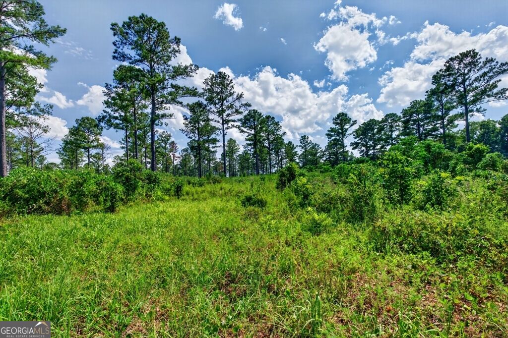 0 Highway 30 Buena Vista GA 31803
