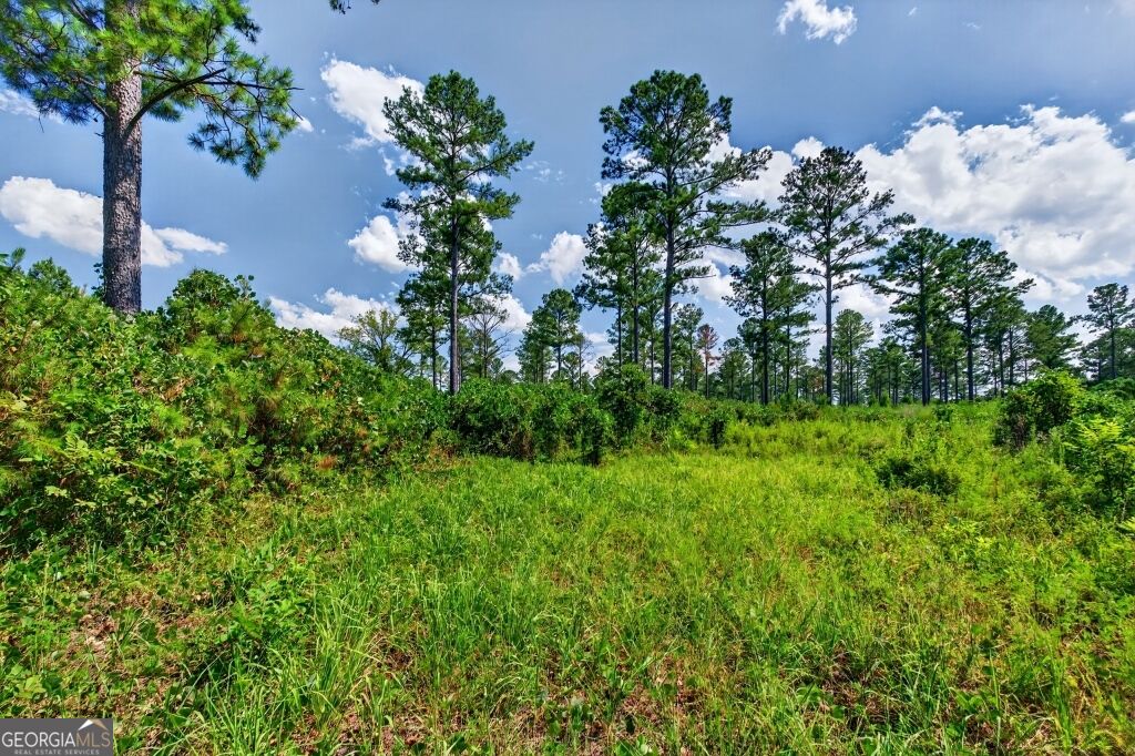 0 Highway 30 Buena Vista GA 31803