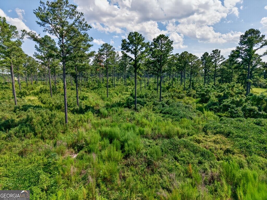 0 Highway 30 Buena Vista GA 31803