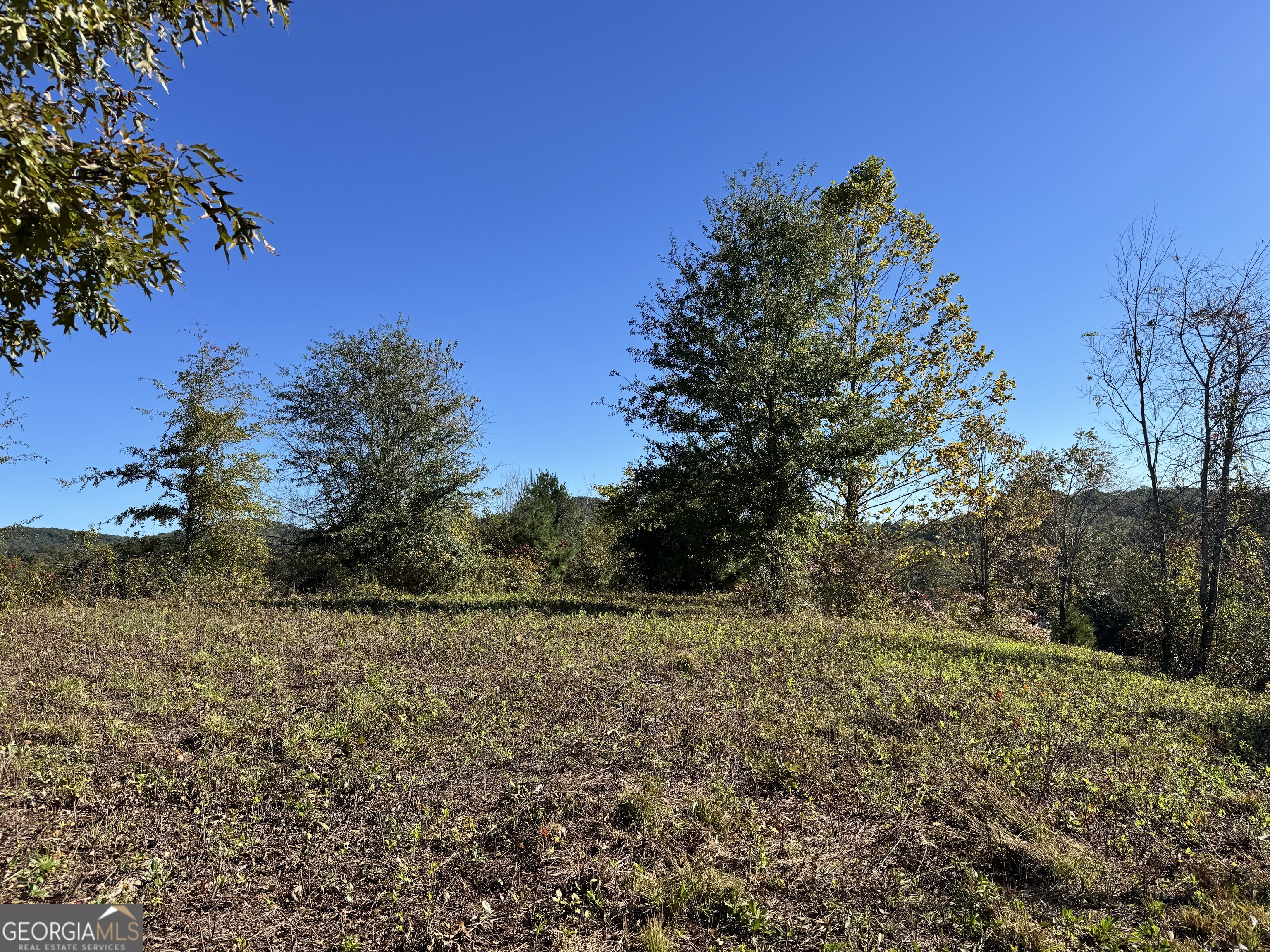 0 Log Cabin Lane Lakemont GA 30552