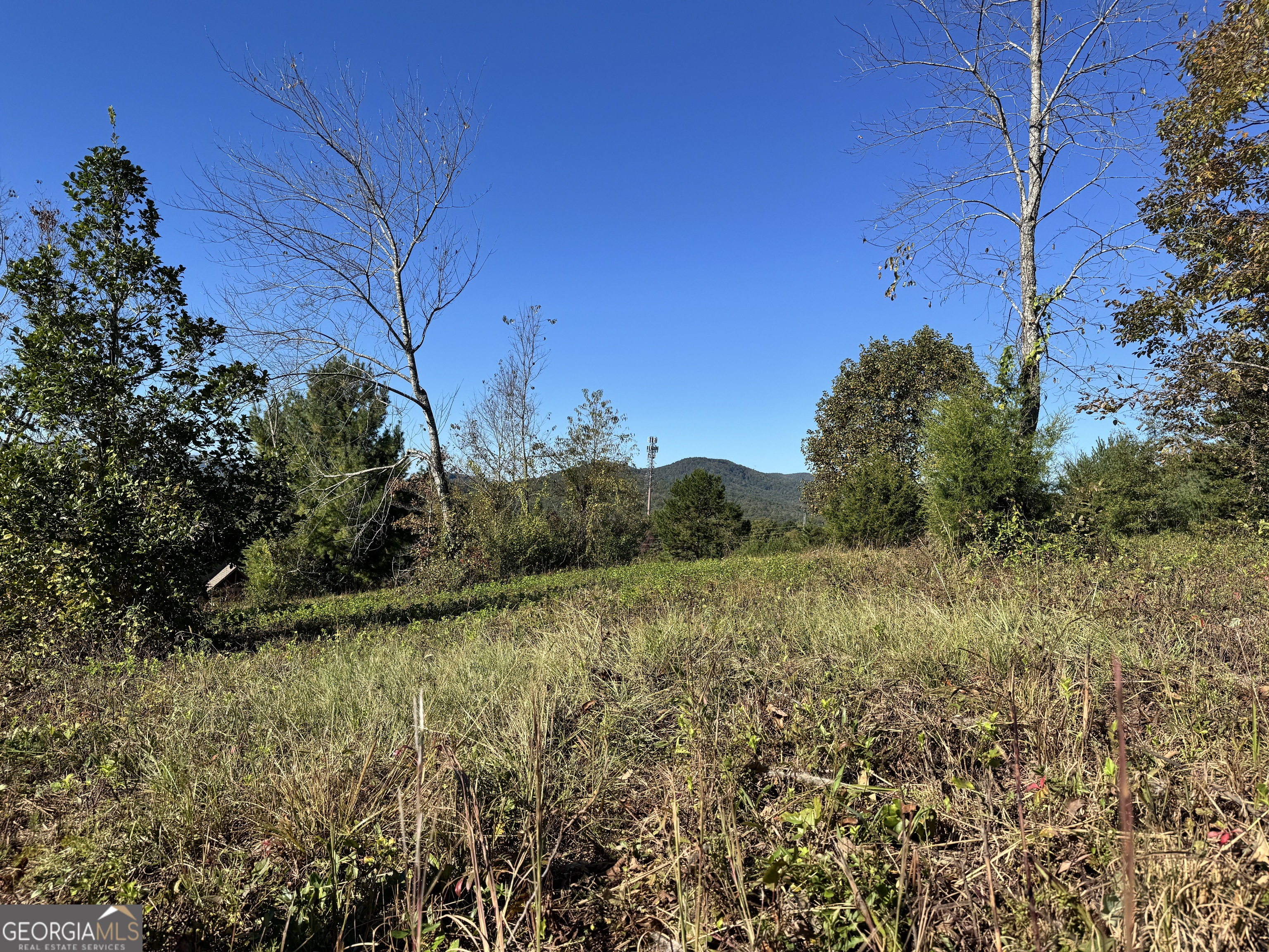 0 Log Cabin Lane Lakemont GA 30552