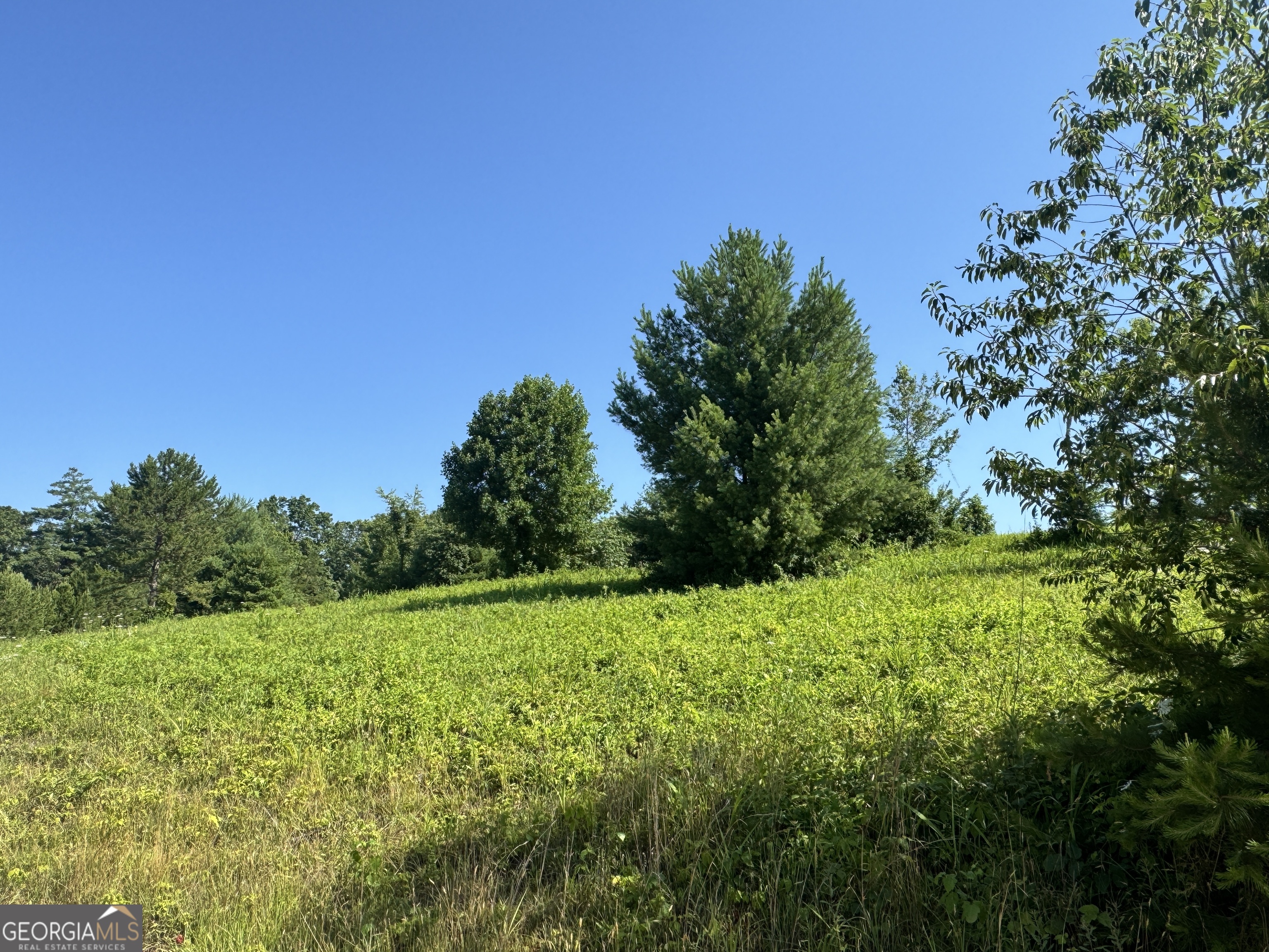 0 Log Cabin Lane Lakemont GA 30552