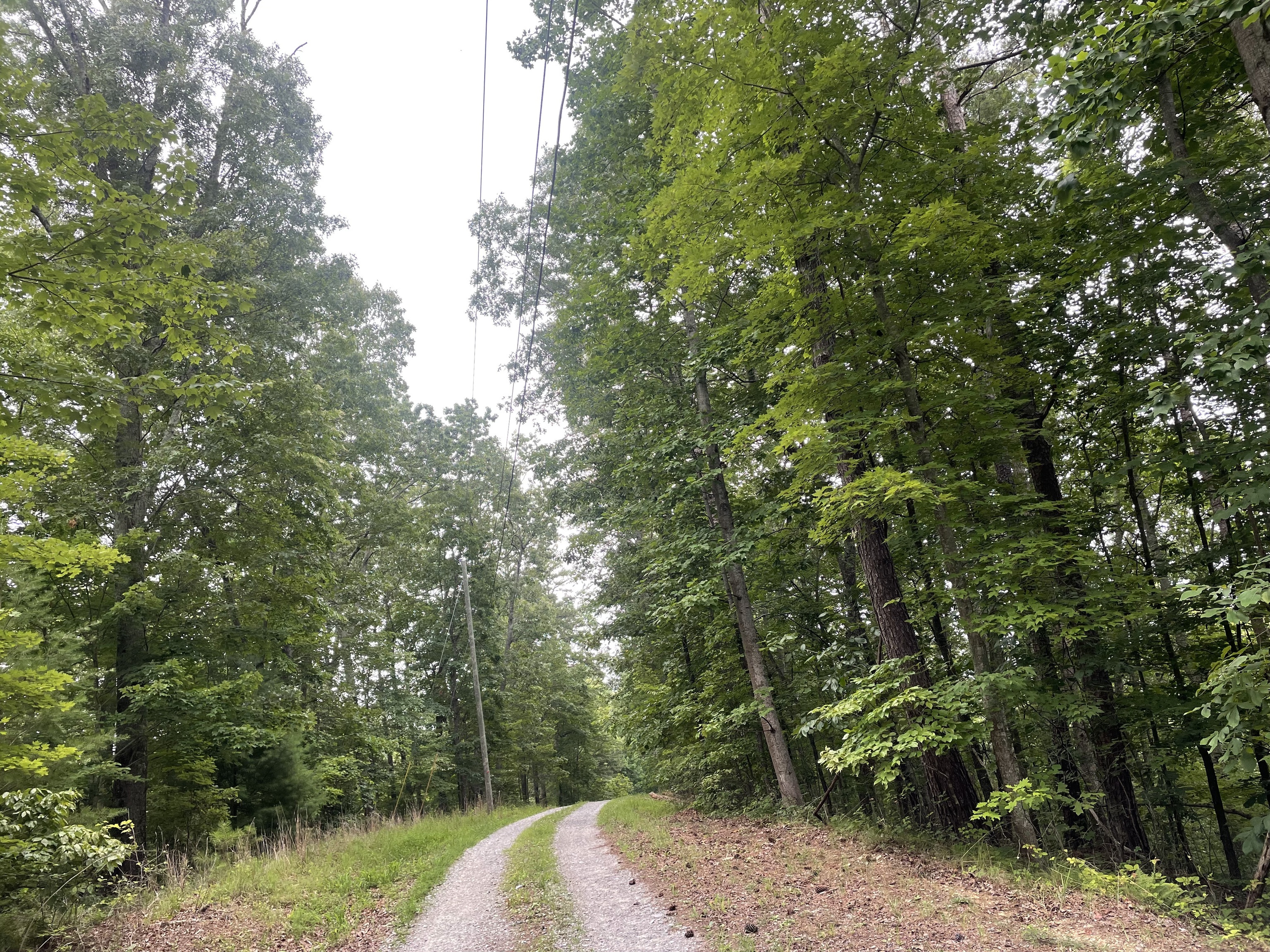 871 Bolster Lane NE Ranger GA 30734
