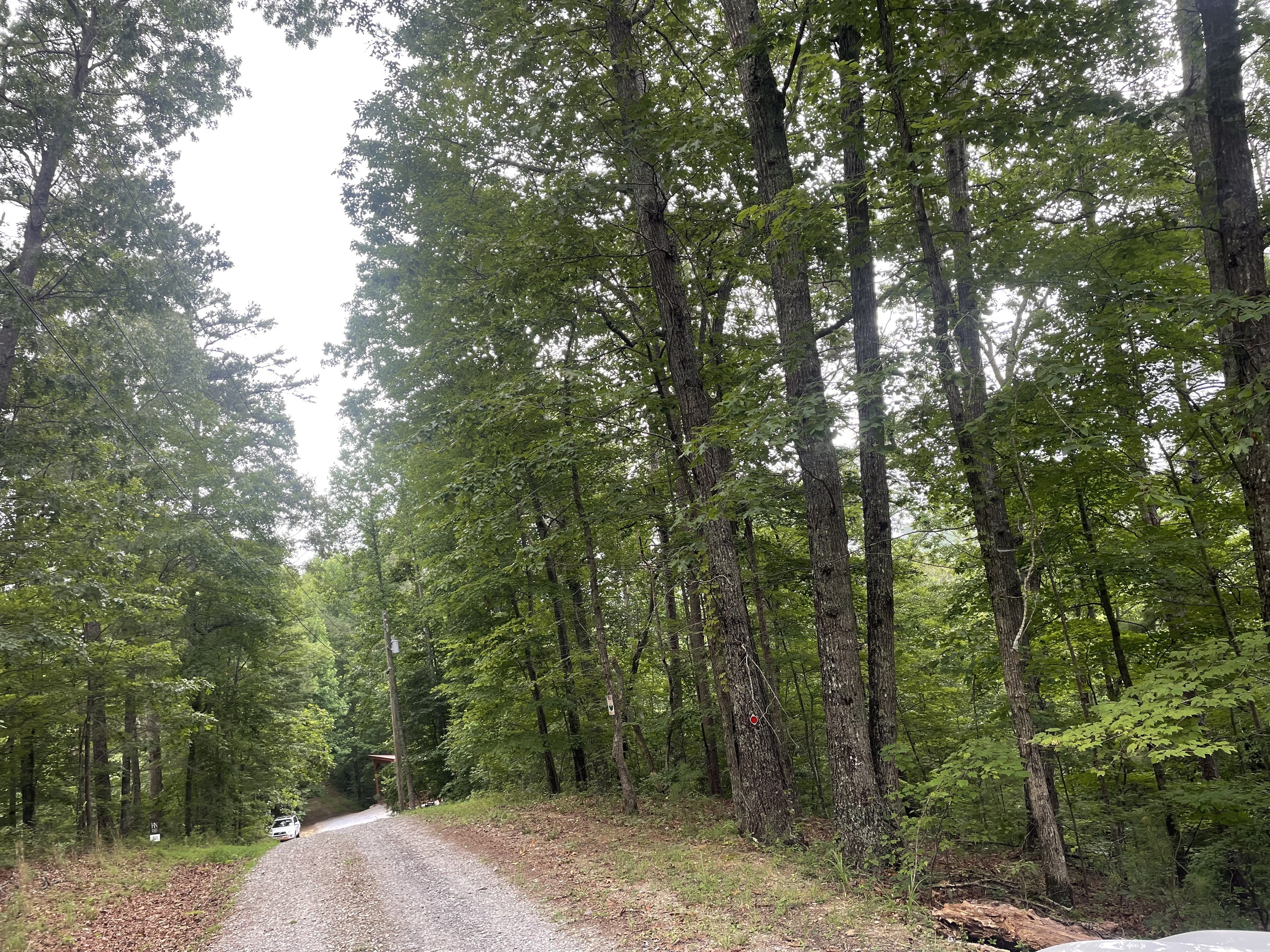 871 Bolster Lane NE Ranger GA 30734