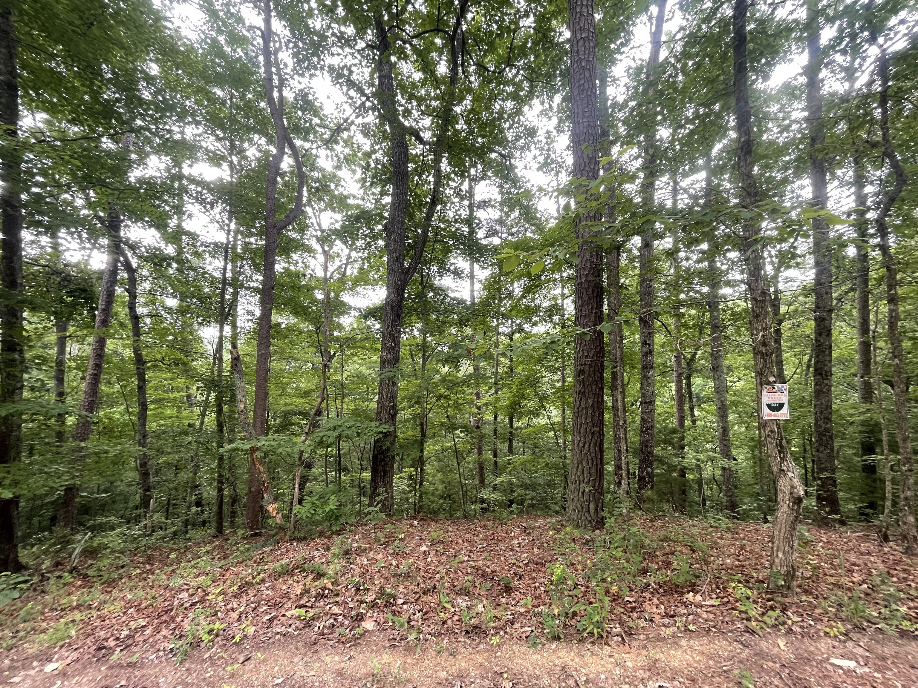 871 Bolster Lane NE Ranger GA 30734