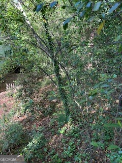 3746 Overlook Drive Macon GA 31204