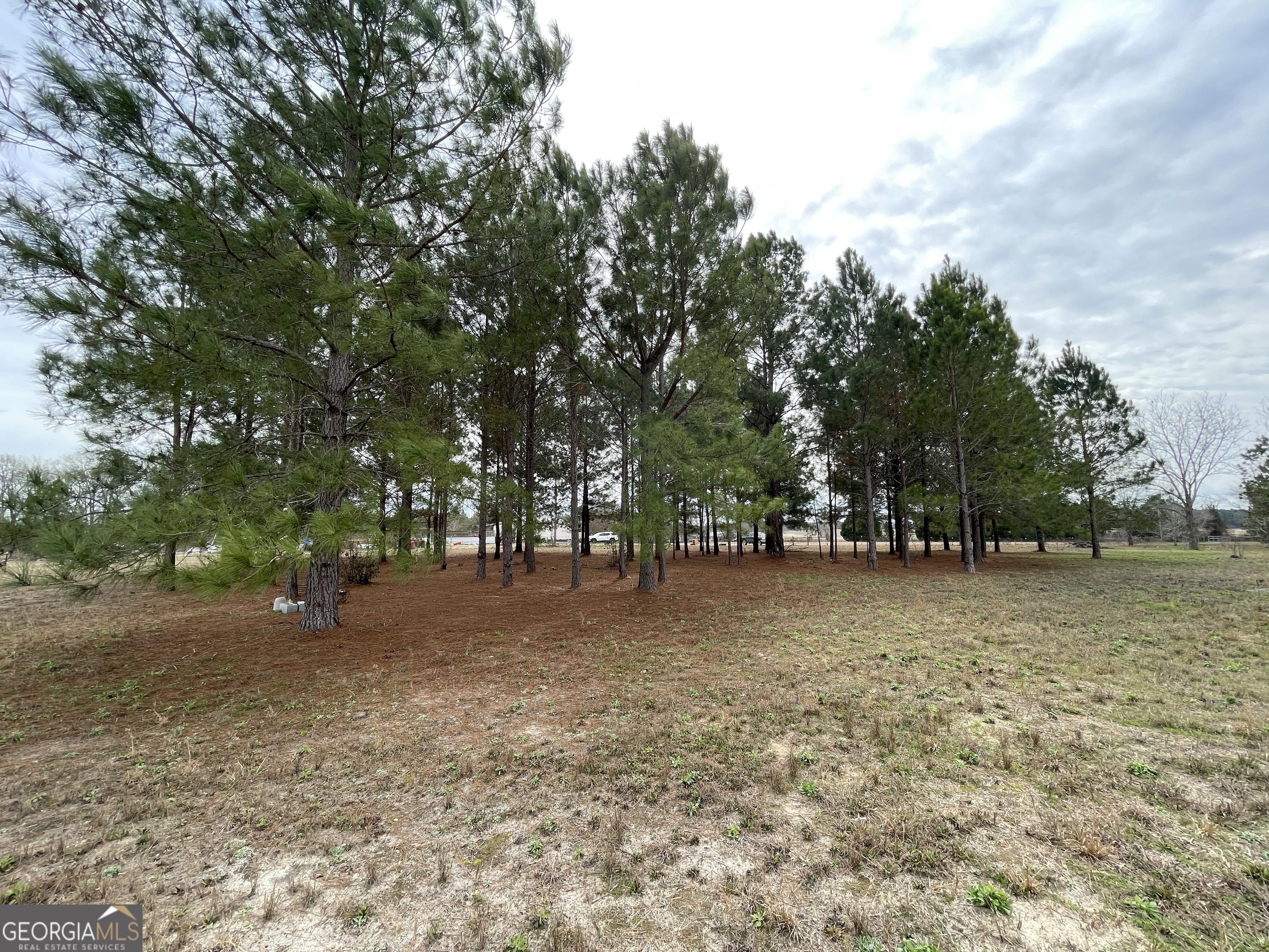 141 James English Road Cochran GA 31014