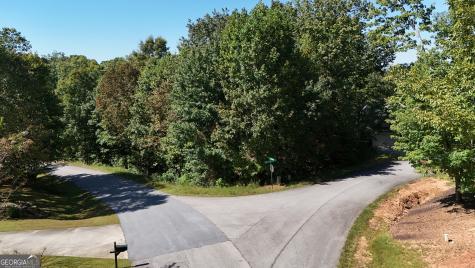 Lot 8 Long Mountain Trail Cleveland GA 30528