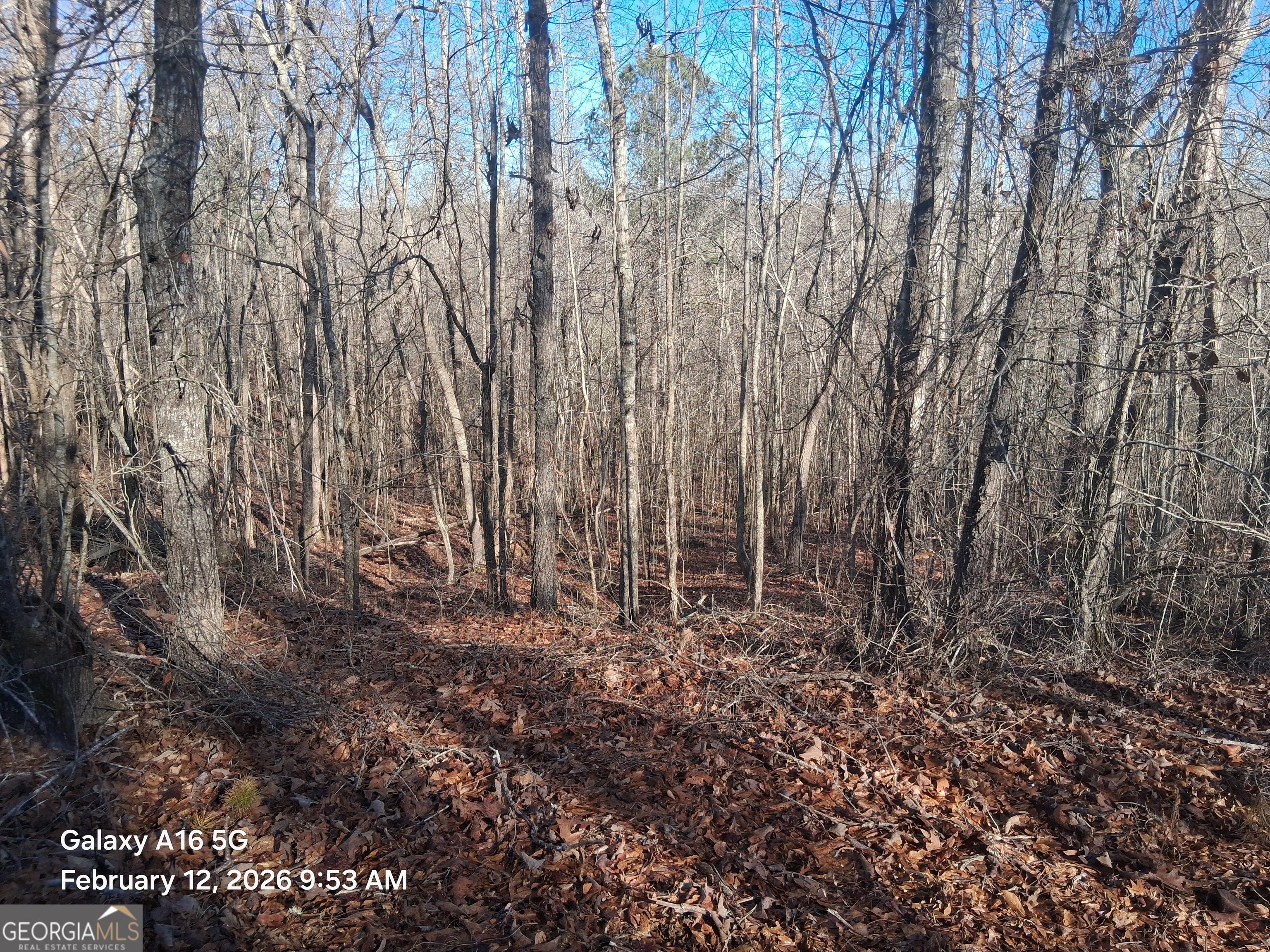 887 Allen Grantville GA 30220