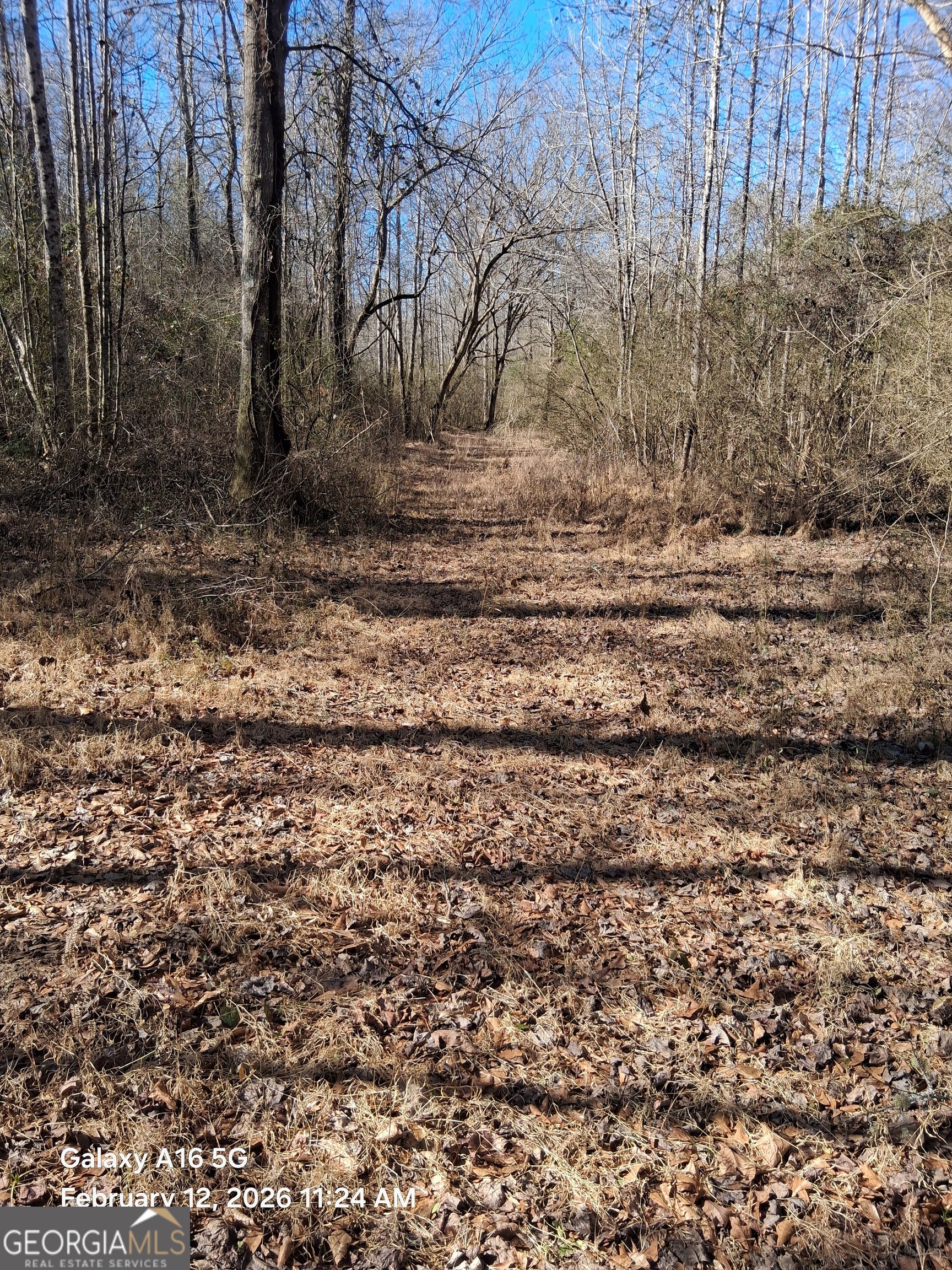 887 Allen Grantville GA 30220