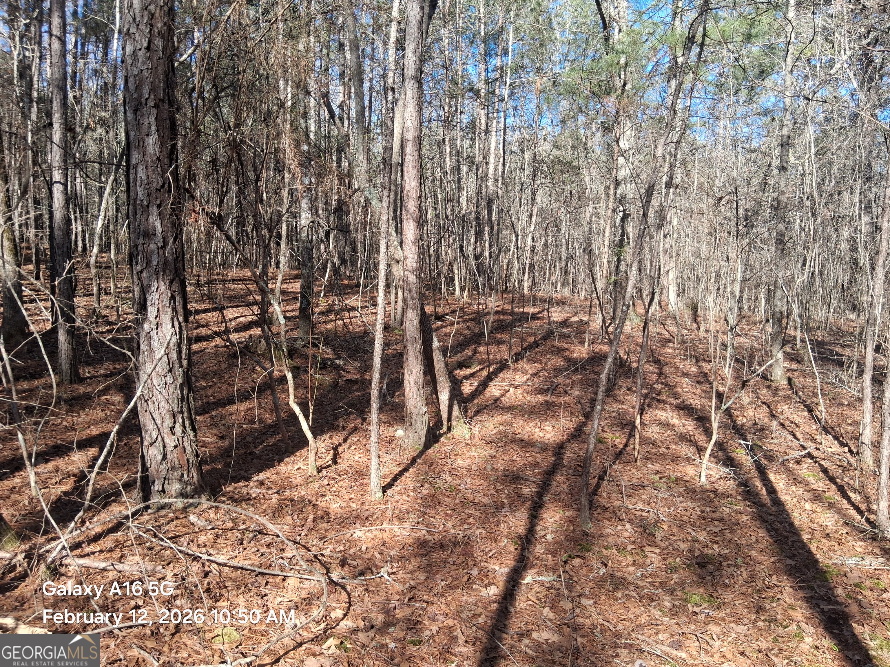 887 Allen Grantville GA 30220