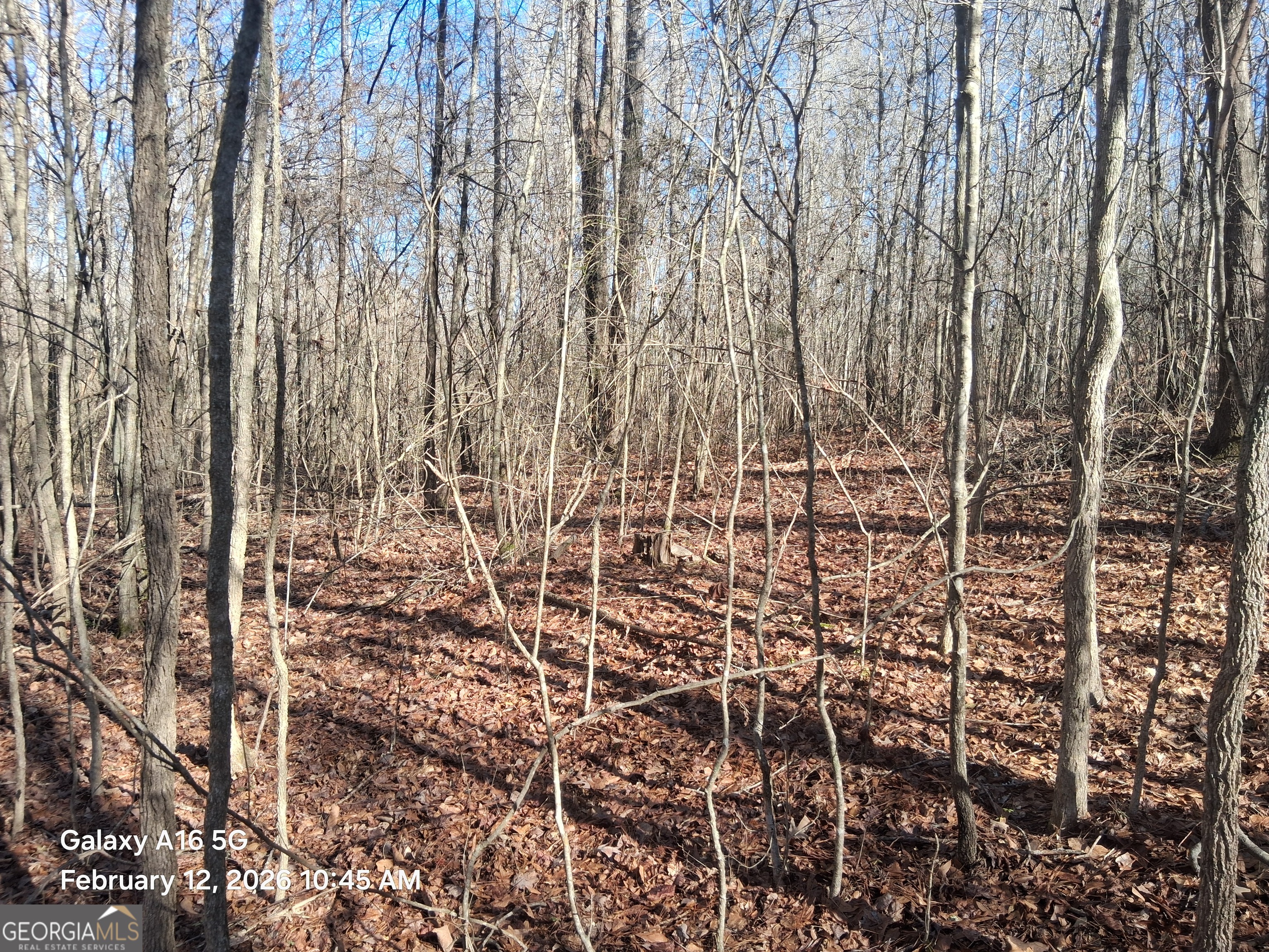 887 Allen Grantville GA 30220