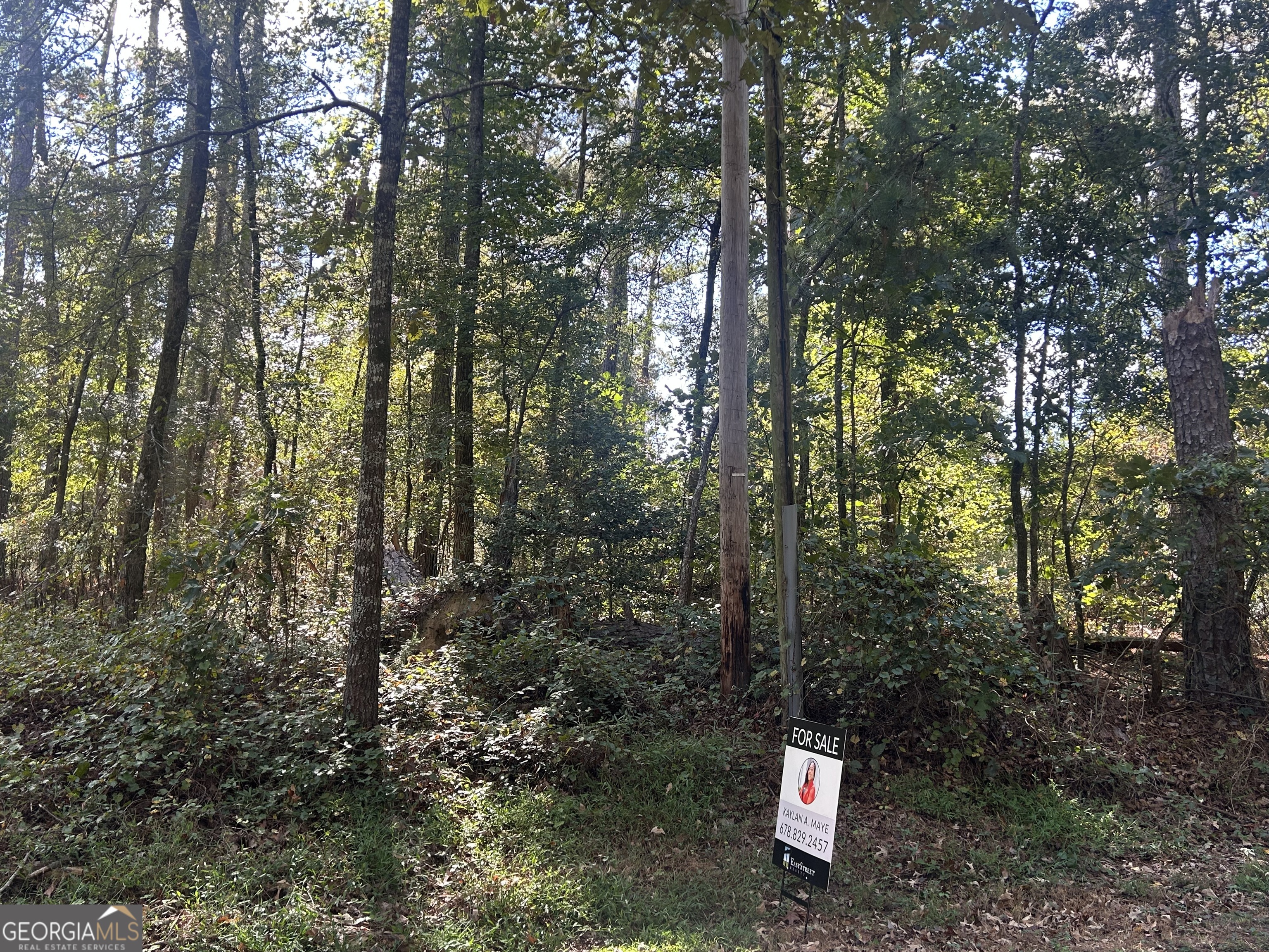 2930 Bonds Lake Road NW Conyers GA 30012