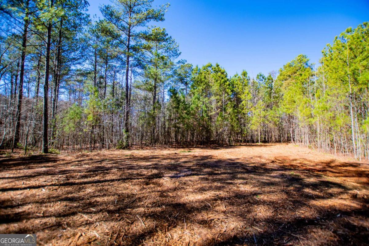 0 Highway 166 E - 21+ Acres E Bowdon GA 30108