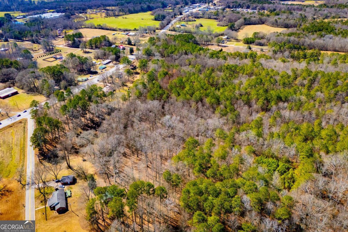 0 Highway 166 E - 21+ Acres E Bowdon GA 30108