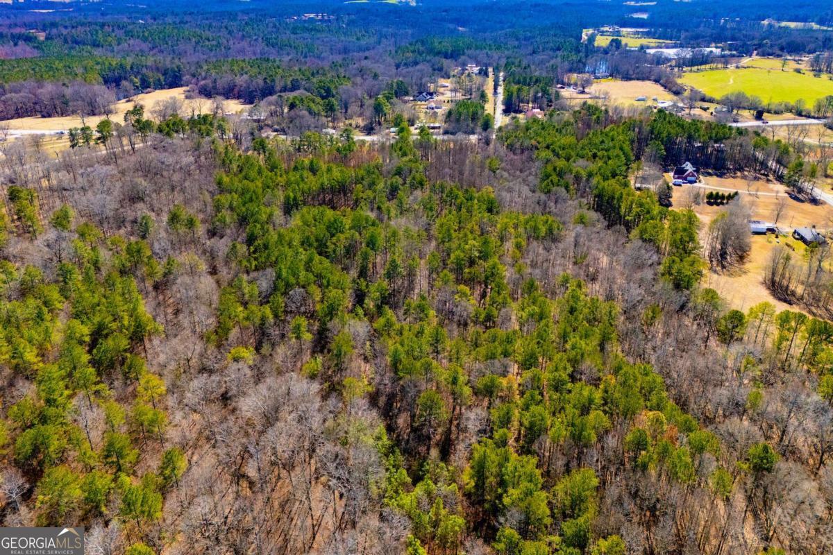 0 Highway 166 E - 21+ Acres E Bowdon GA 30108