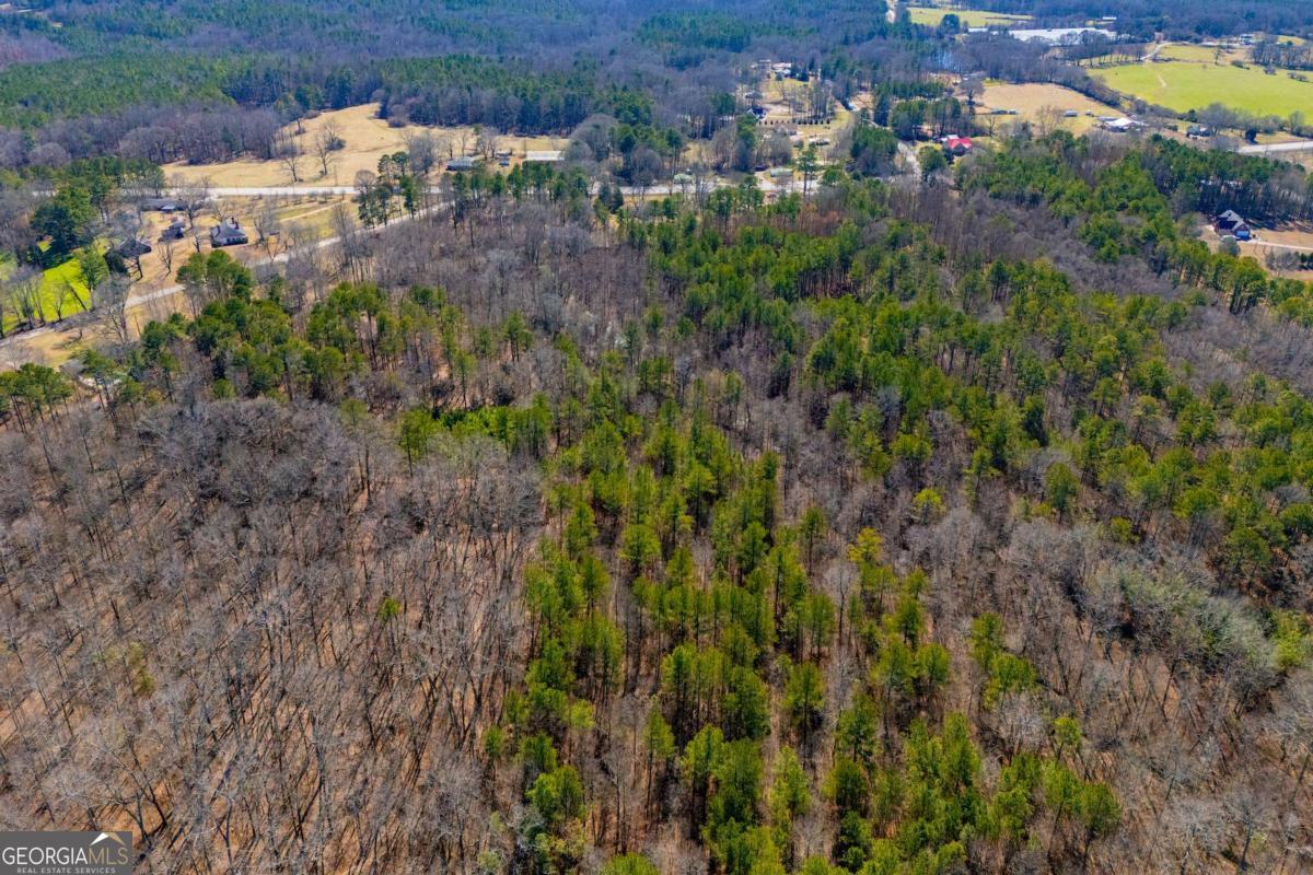 0 Highway 166 E - 21+ Acres E Bowdon GA 30108