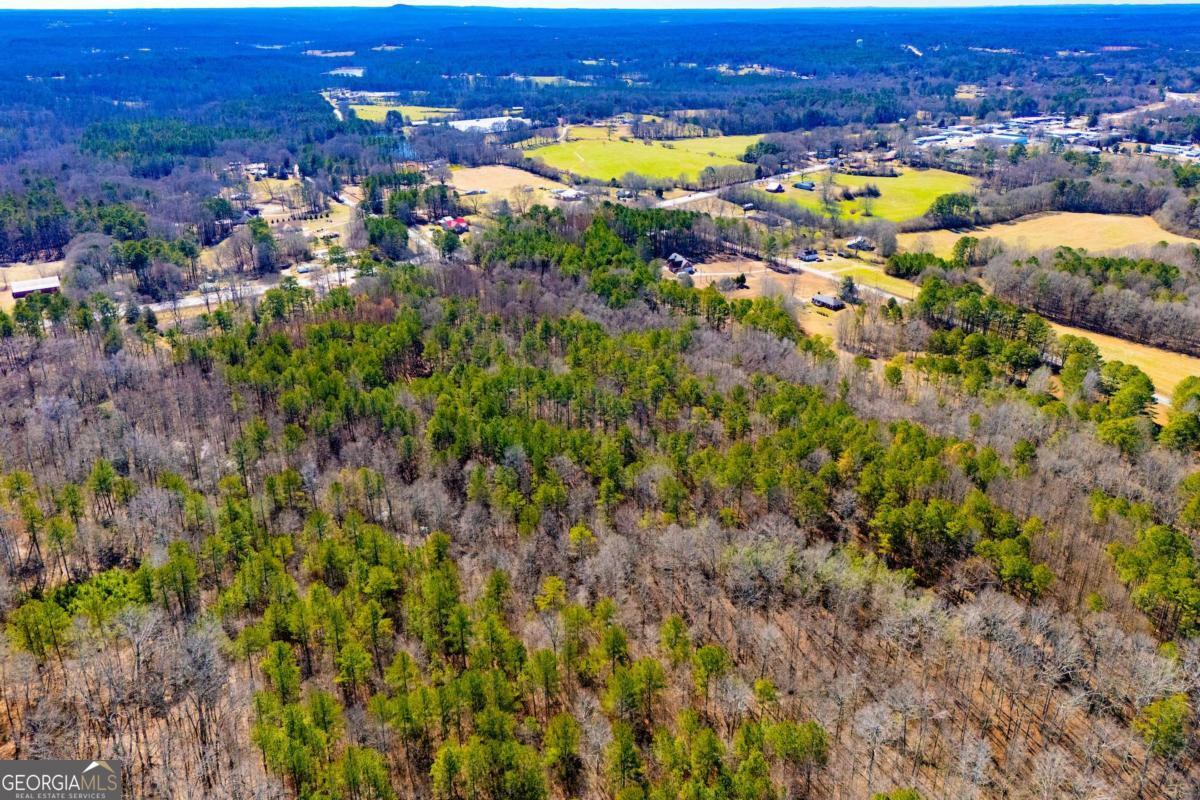 0 Highway 166 E - 21+ Acres E Bowdon GA 30108