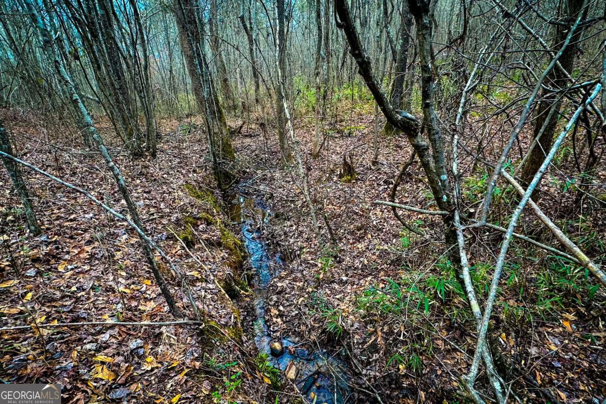 0 Highway 166 E - 21+ Acres E Bowdon GA 30108