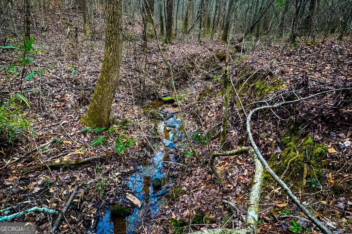 0 Highway 166 E - 21+ Acres E Bowdon GA 30108