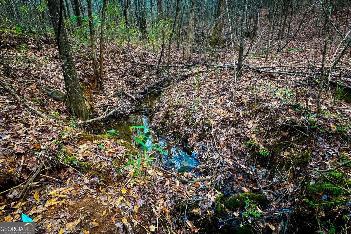 0 Highway 166 E - 21+ Acres E Bowdon GA 30108