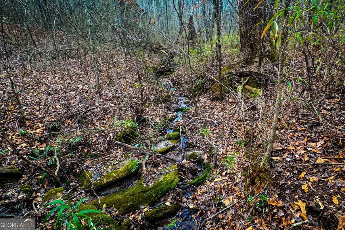 0 Highway 166 E - 21+ Acres E Bowdon GA 30108