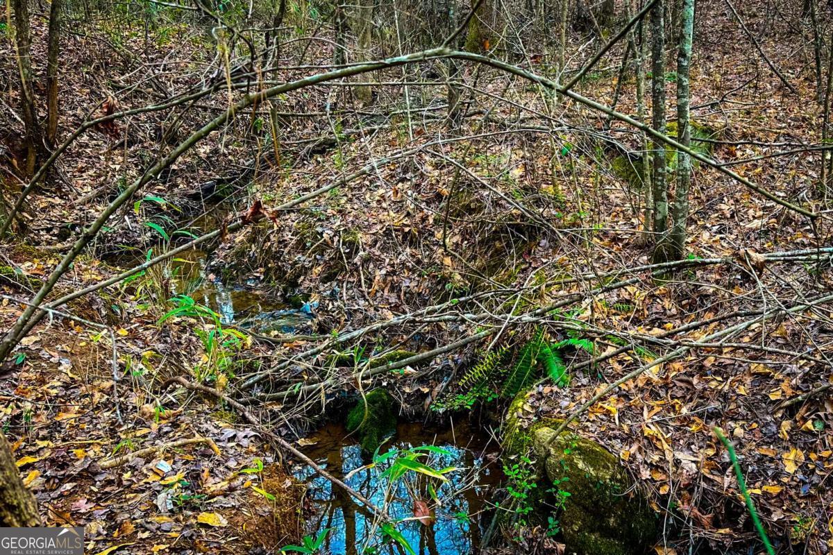 0 Highway 166 E - 21+ Acres E Bowdon GA 30108