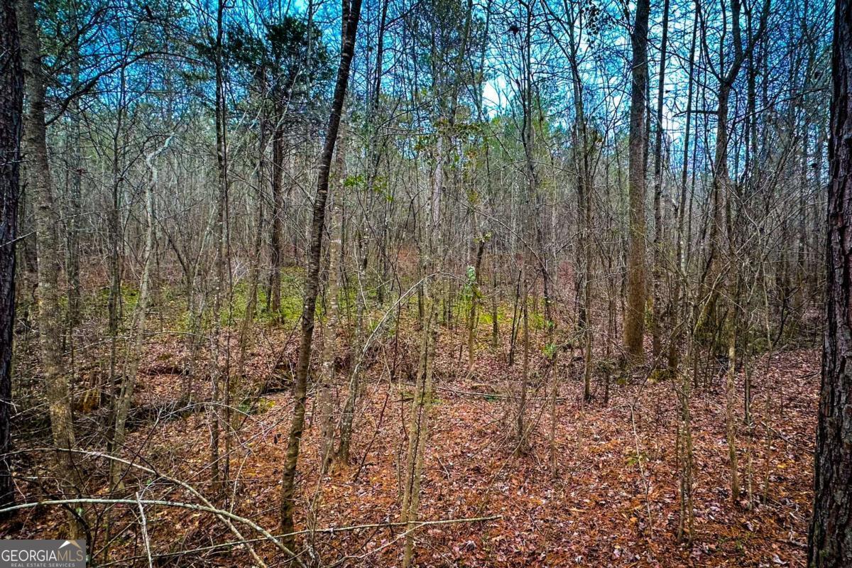 0 Highway 166 E - 21+ Acres E Bowdon GA 30108