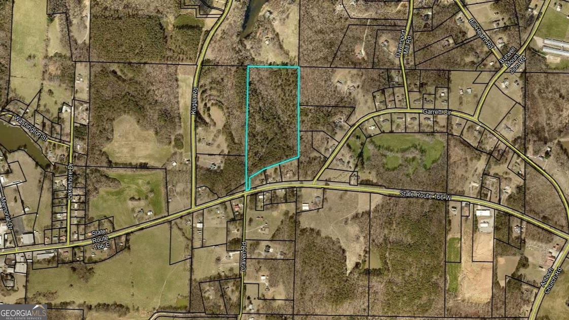 0 Highway 166 E - 21+ Acres E Bowdon GA 30108
